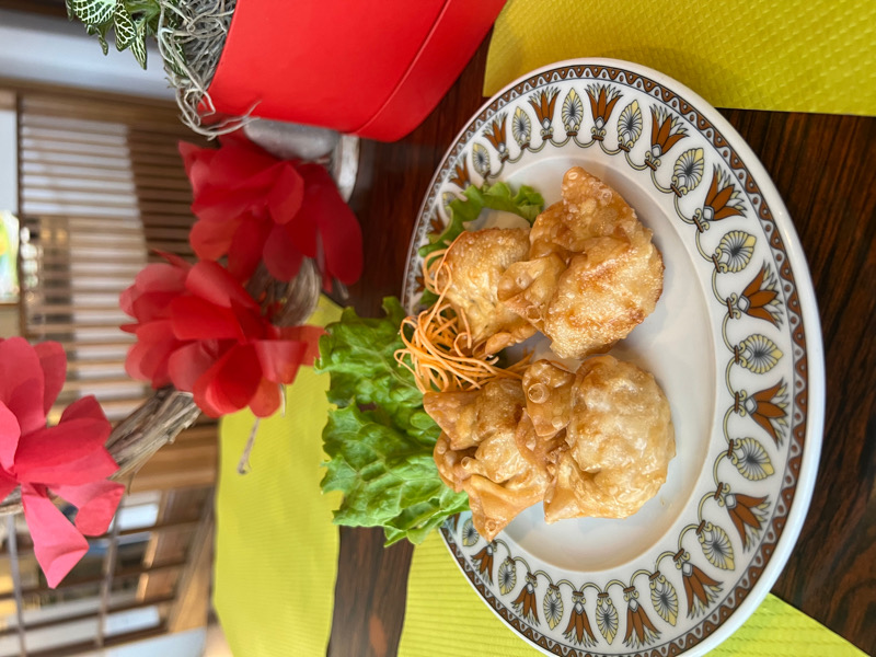 103. Raviolis Won-Ton frits (4 pces)