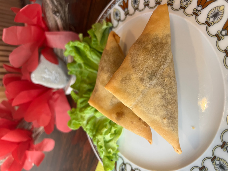 110. Samosa au légumes (2 paces)