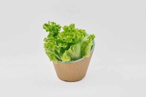 L08. Salade