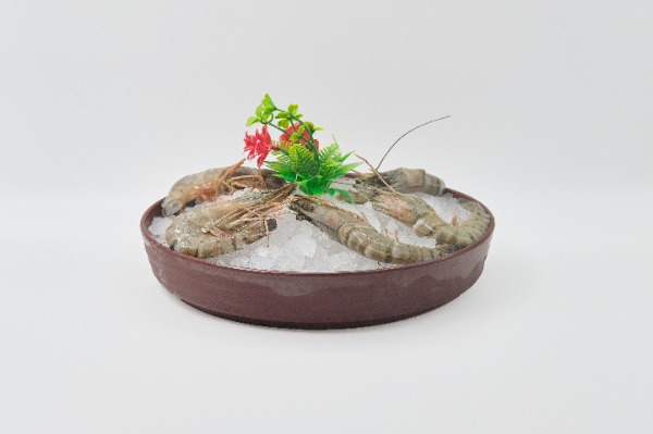 F06. Crevettes fraiches