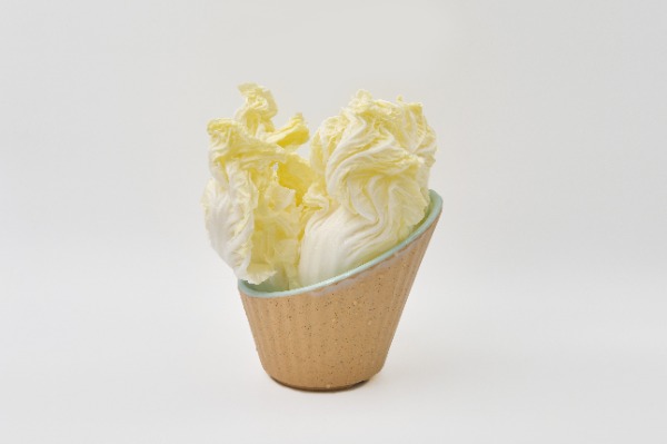 L06. Choux chinois