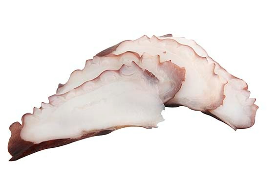 S05. Poulpe