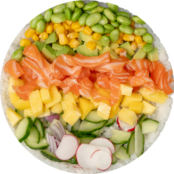 POKE Saumon