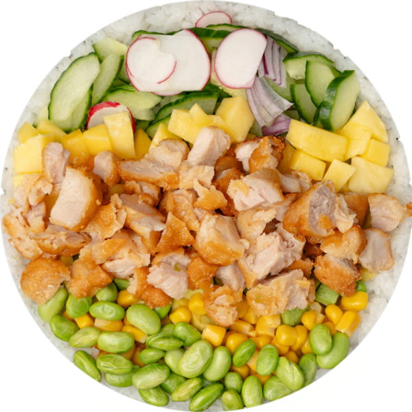 POKE Karaage