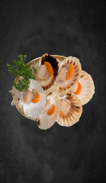 6 coquilles Saint-Jacques