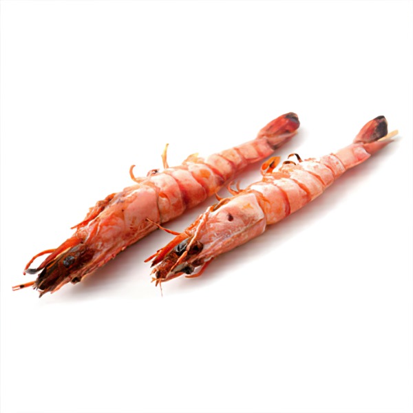 403. EBI Gambas