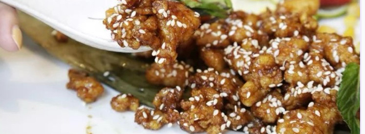 J1. 脆皮鸡丁 Knusprige Hähnchenbissen *ag