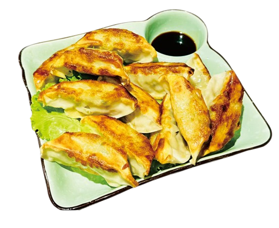Pan-fried dumplings (chicken or vegetarian) 12 pieces