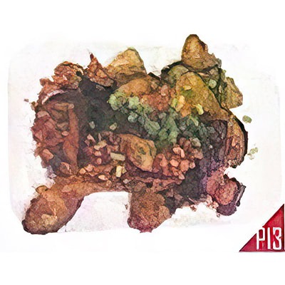 P13. Aubergines sautées à la sauce soja