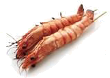 Y07 Gambas
