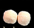Perle de coco