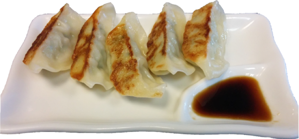 Gyoza au poulet x5