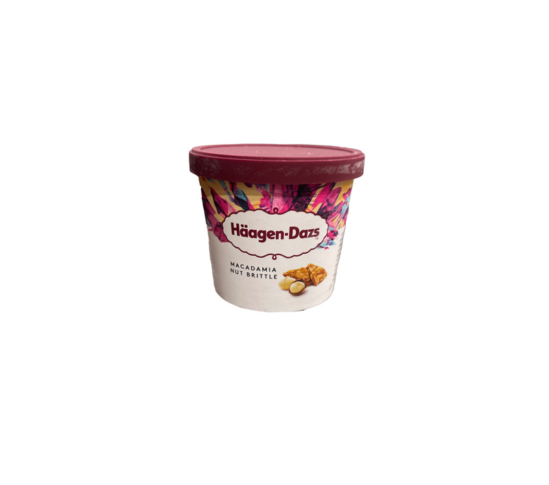 Häagen Dazs 100ml