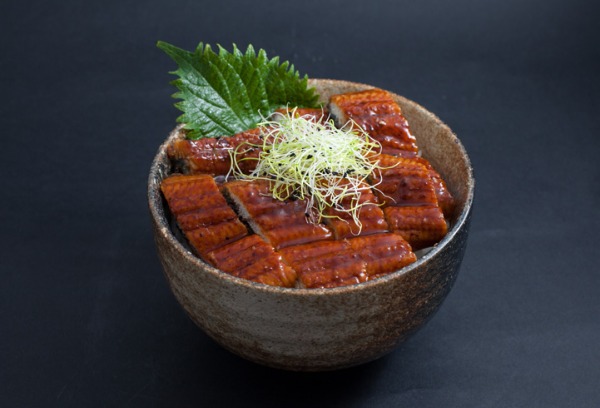 R14 Unagi don