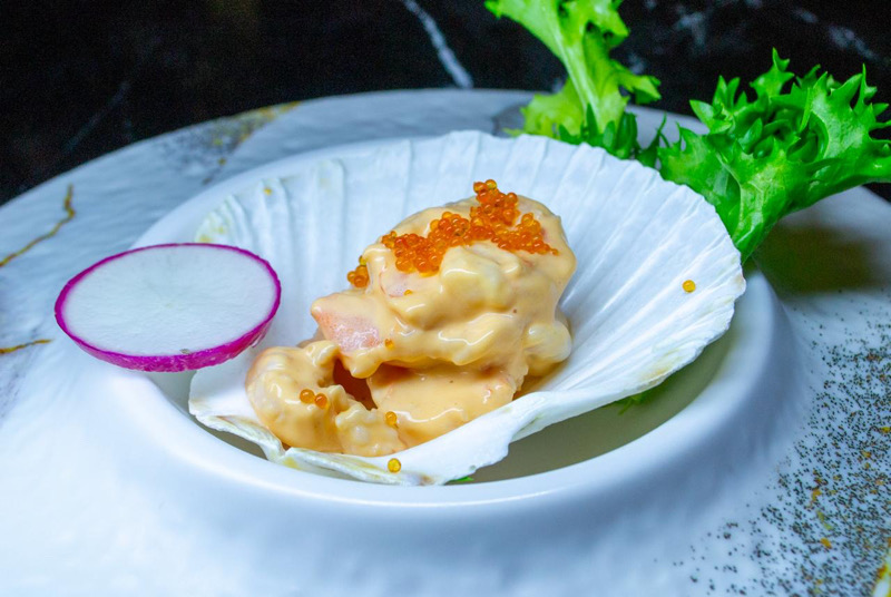 1504 SALSA EBI