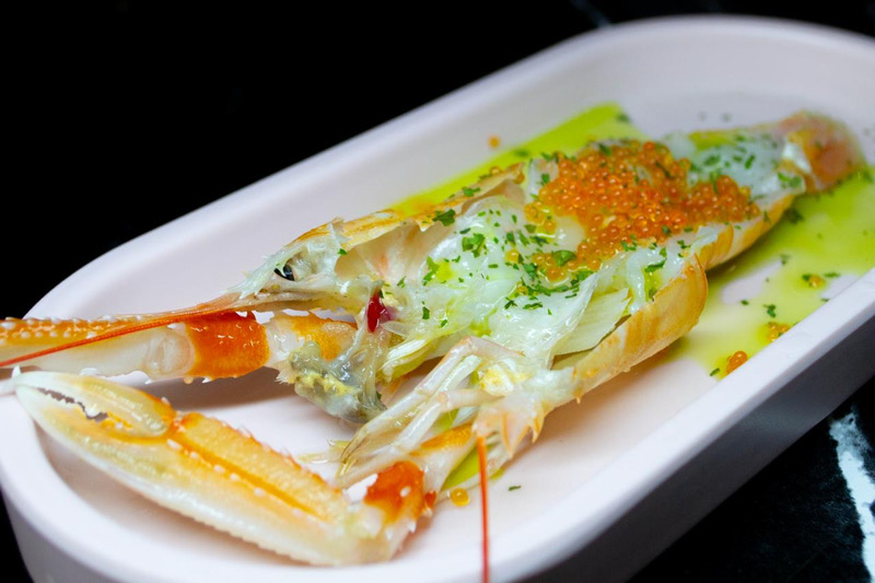 1502 NEW SCAMPI 1PZ