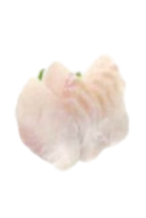 804. Sashimi daurade