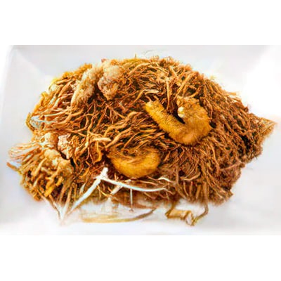 E13. Nouilles sautées aux fruits de mer