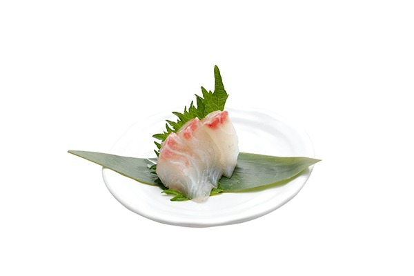 SA3 SASHIMI Daurade