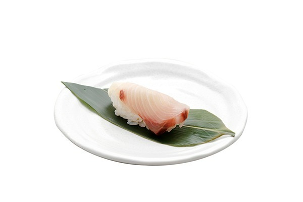 S11 SUSHI Hamachi (yelloz tail)