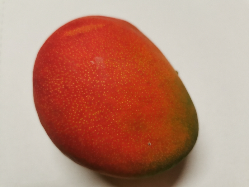 D12 Fruit de saison Mangue