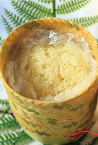 T49 RIZ GLUANT