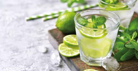 VIRGIN MOJITO