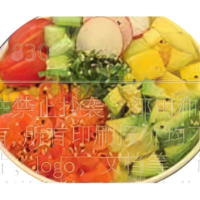 PO2. Saumon
