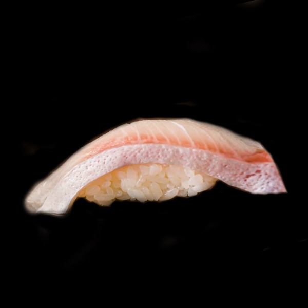 (S3)53. Gelbschwanz