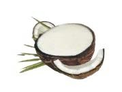 414. Cocco ripieno