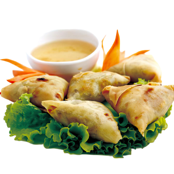 SAMOUSA 5pcs