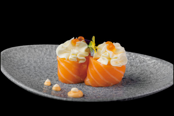 293. GUNKAN SALMONE 2PZ
