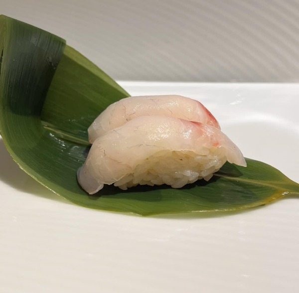293. NIGIRI SUZUKI