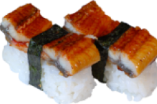 S5 Anguille