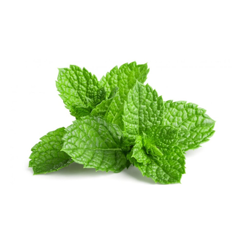 Thé vert à la menthe
