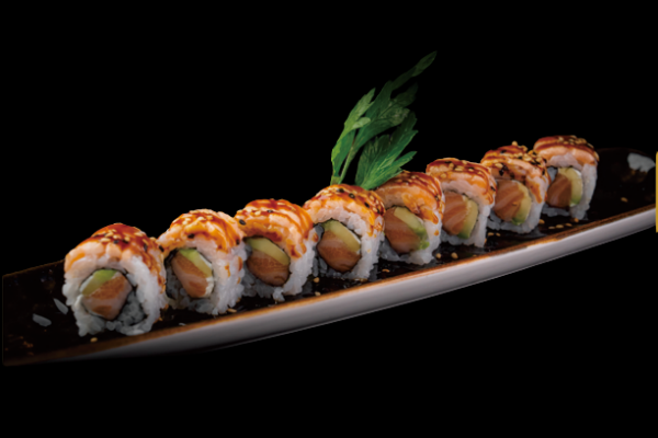 221. SALMONE SCOTTATO 8PZ