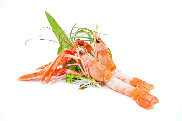 189. SCAMPI 2PZ