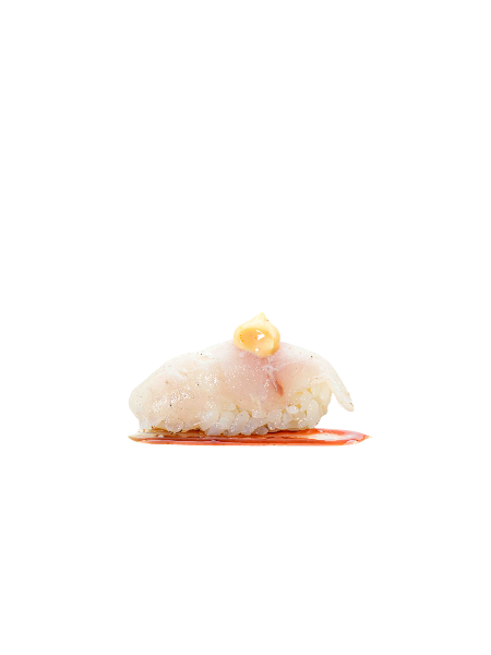 164. SUSHI RICCIOLA SCOTTATO