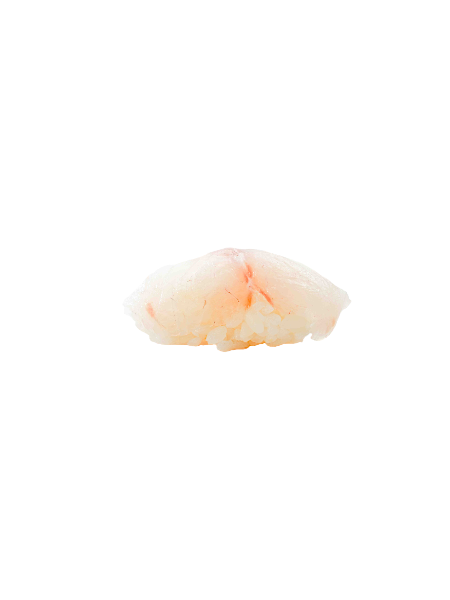 158. RICCIOLA