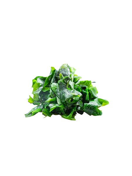 08. ALGHE WAKAME