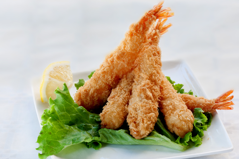 E5/2 Ebi Fry