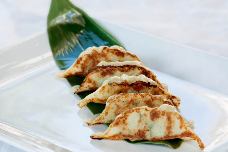 E6/2 Gyoza Poulet