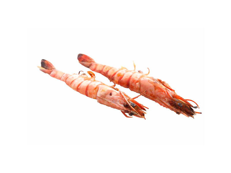 B9. Gambas