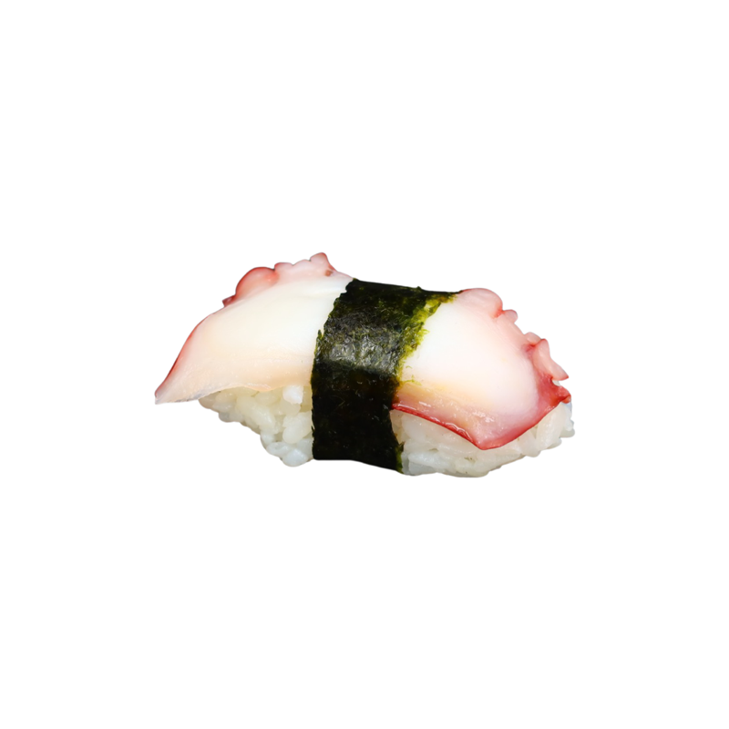 SU8. Poulpe