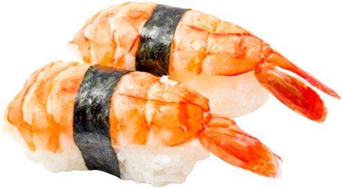 U1 EBI