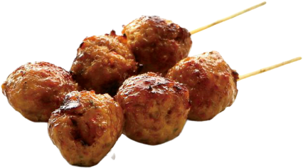 Tsukune-Y1