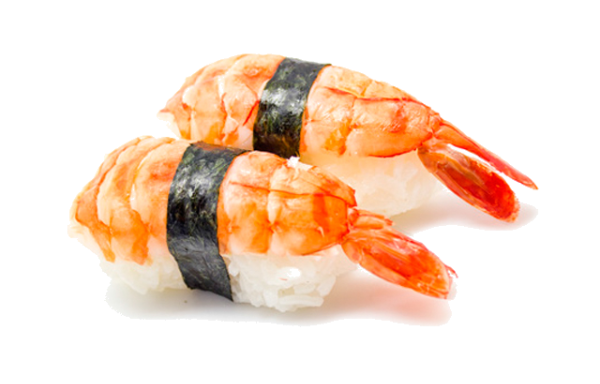23 Ebi