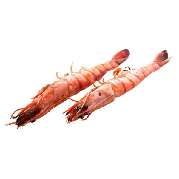 Y8. Gambas