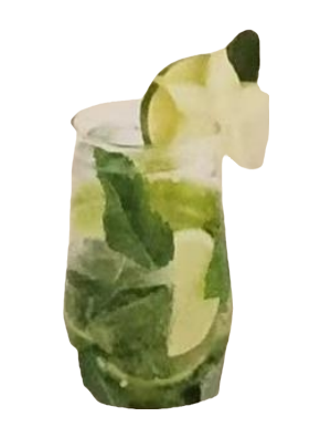 VIRGIN MOJITO(10CL)