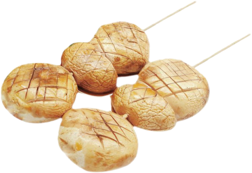 Y6 Champignon